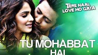 Poster tu mohabbat hai