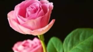 Poster aankhen aankhen maikhaana dil peene ko