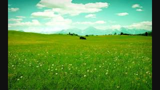 Poster dil tujhe dungi