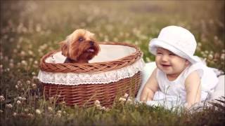 Poster reshma reshma