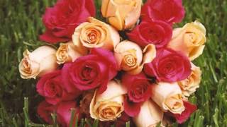 Poster ho gaya ji ho gaya