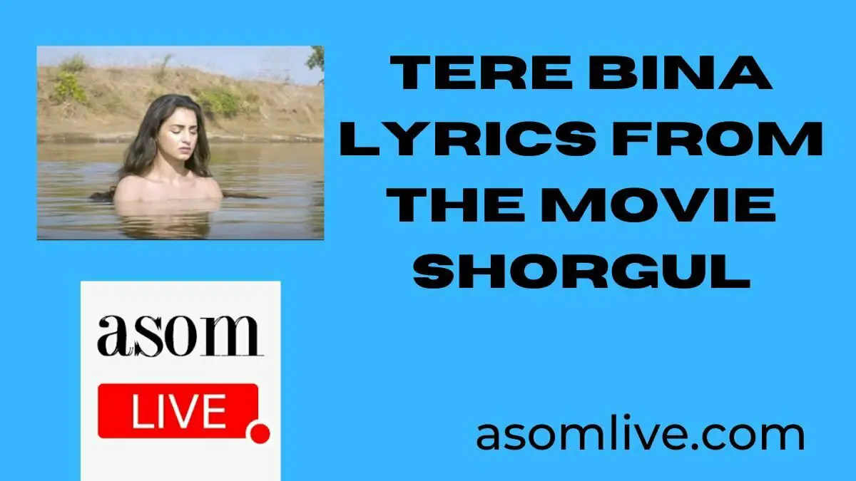 Tere Bina Lyrics from the movie Shorgul