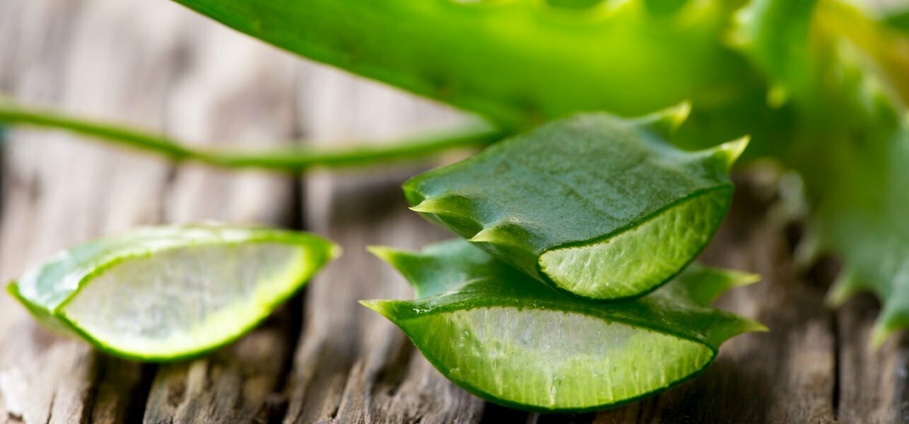 The benefits of Aloe Vera just for you.