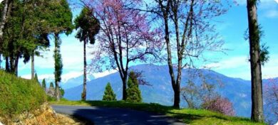 While In Sikkim what you should look for?