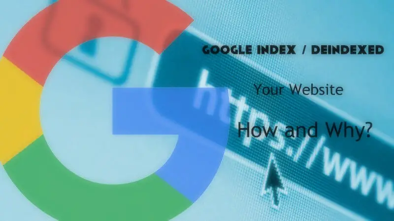 Google Index / Deindexed Your Website How and Why?