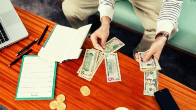 Debt Funds and Hybrid Funds