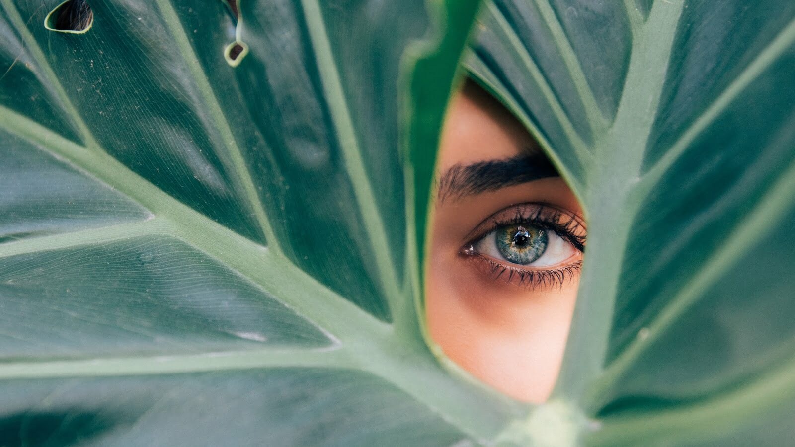 drew dizzy graham cTKGZJTMJQU unsplash 1666179414806 1666179457861 1666179457861