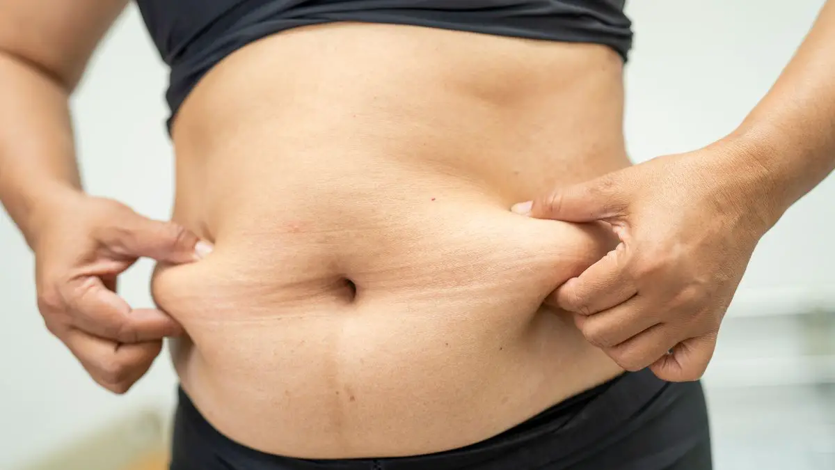 5 Diet Tips For Belly Fat That Will Spark Weight Loss Success