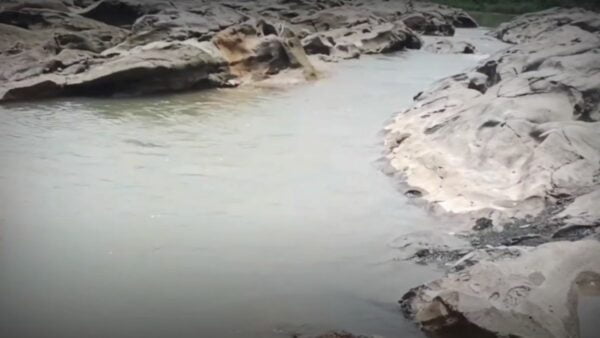 Some Picnic Places In Assam That Might Delight You 6 BorHill, Assam