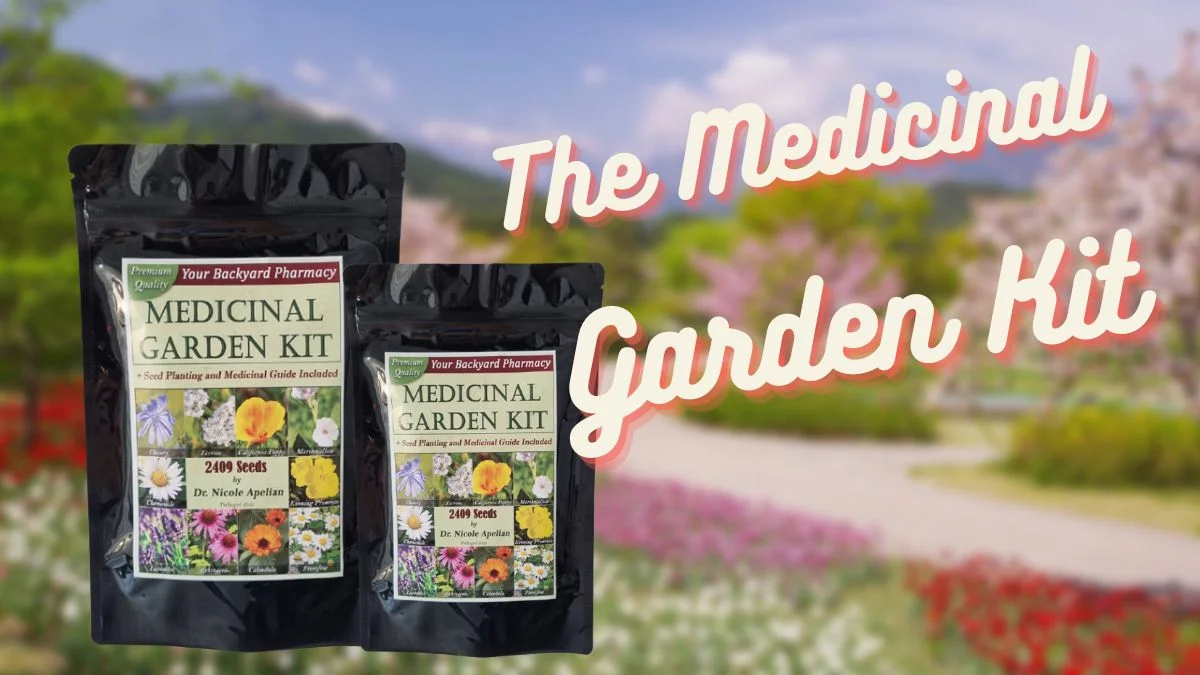 Simple Steps to Creating Your Own Medicinal Garden