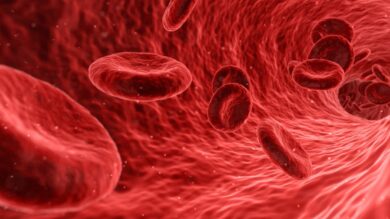 Hemophilia Has A Price Tag That Will Stun You. Here’s How Much It Costs