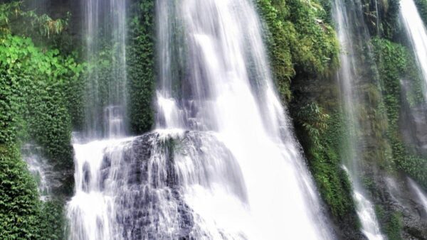 Some Picnic Places In Assam That Might Delight You 3 Sivakunda, Assam