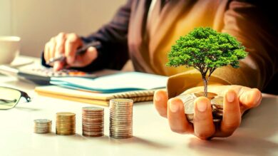 Stocks Or Mutual Funds - Which Is Better For Your Money