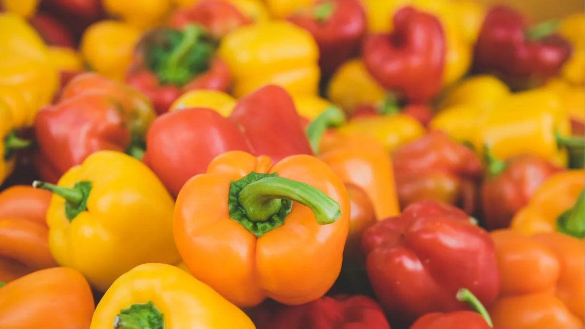 Bell peppers are a great source of antioxidants and vitamins, both of which are essential for fat loss