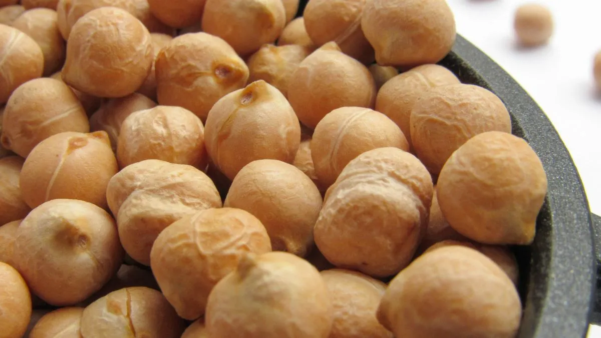 Chickpeas are an excellent source of protein and fiber, both of which are essential for weight loss.