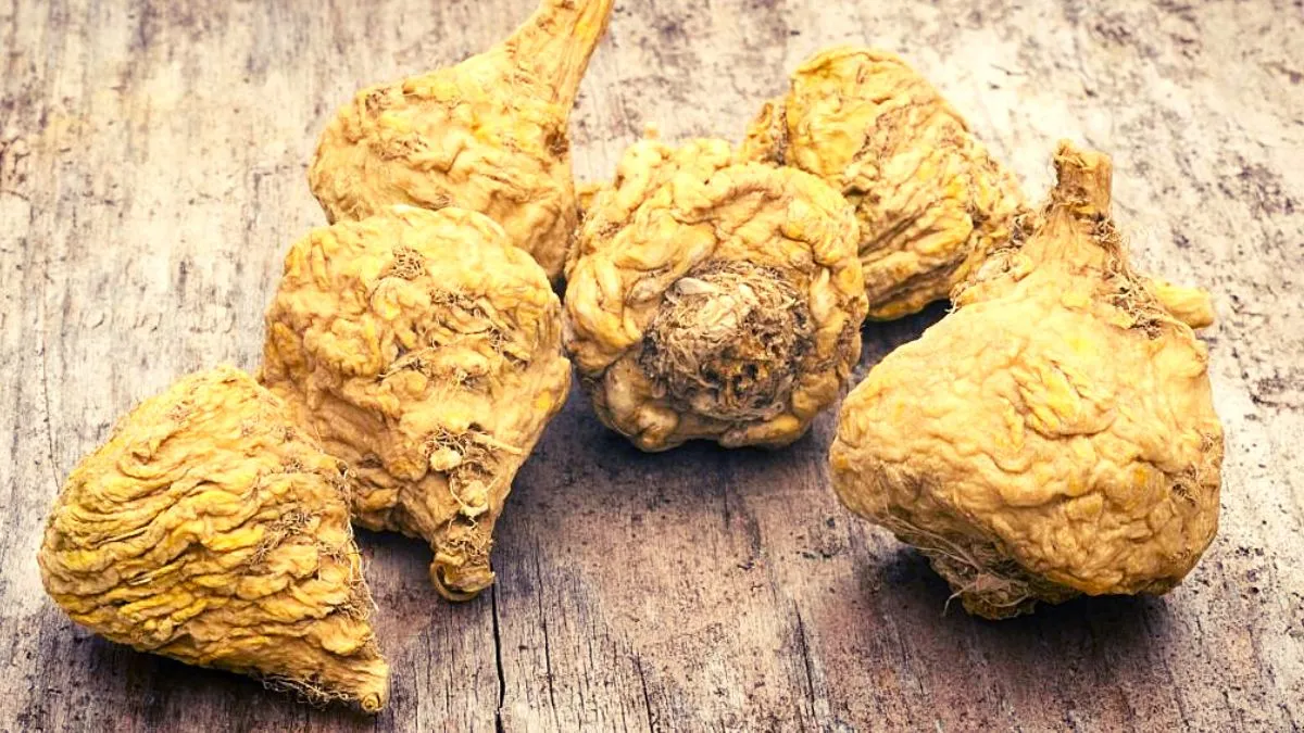 Maca is a superfood that has been shown to help boost metabolism and promote weight loss
