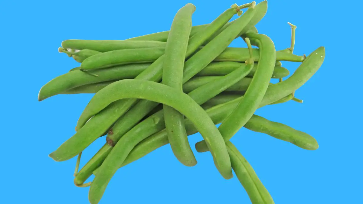 Superfoods Beans