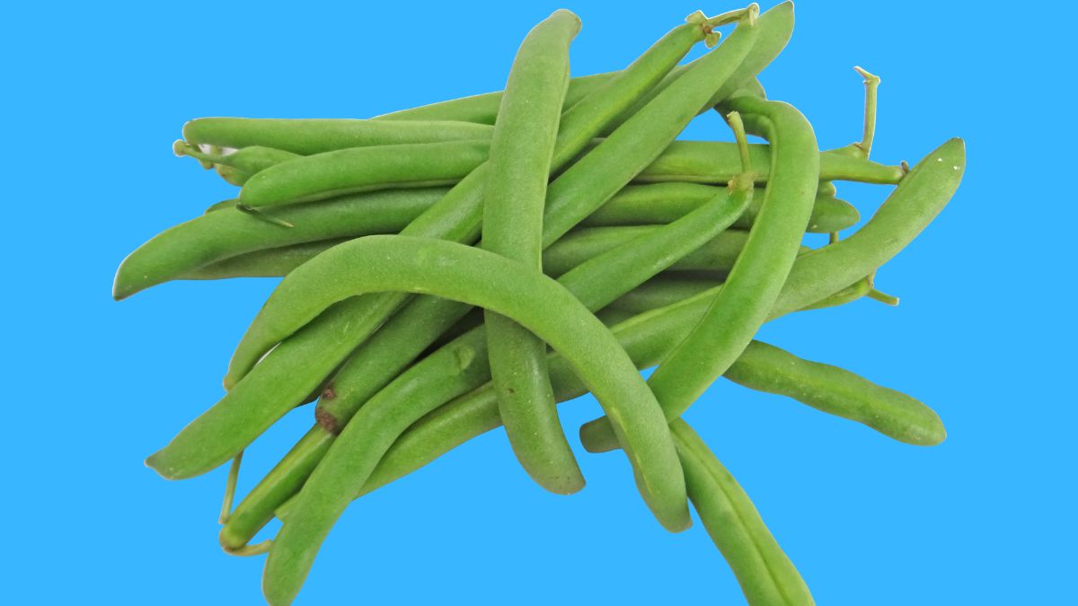 40 of the Most Powerful Fat-Burning Superfoods 2 Superfoods Beans