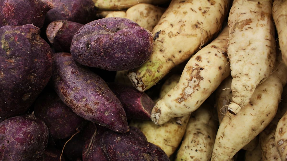 40 of the Most Powerful Fat-Burning Superfoods 2 Sweet potatoes are an excellent source of vitamins A and C