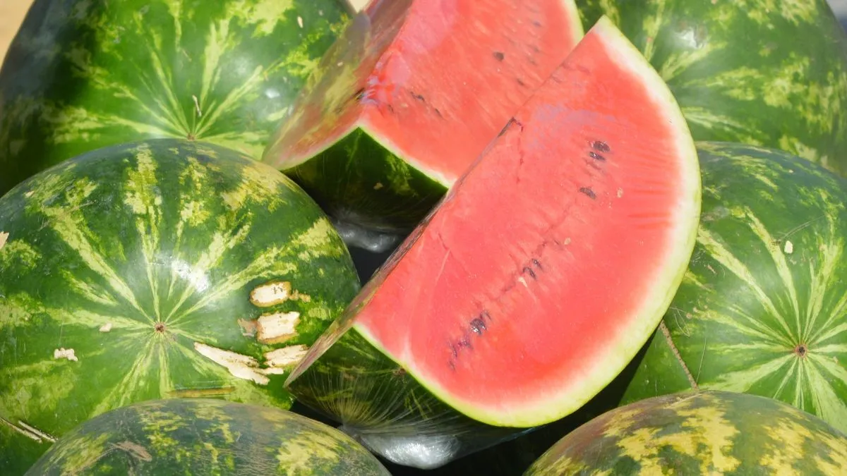 Watermelon is one of the best fat-burning foods you can eat