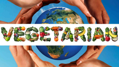 Top 10 Vegetarian Countries