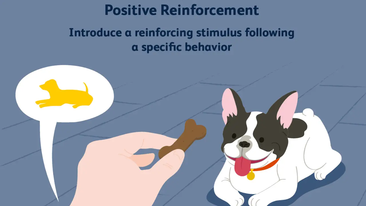Use Positive Reinforcement