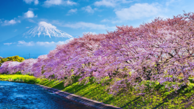TOP 5 BEAUTIFUL PLACES