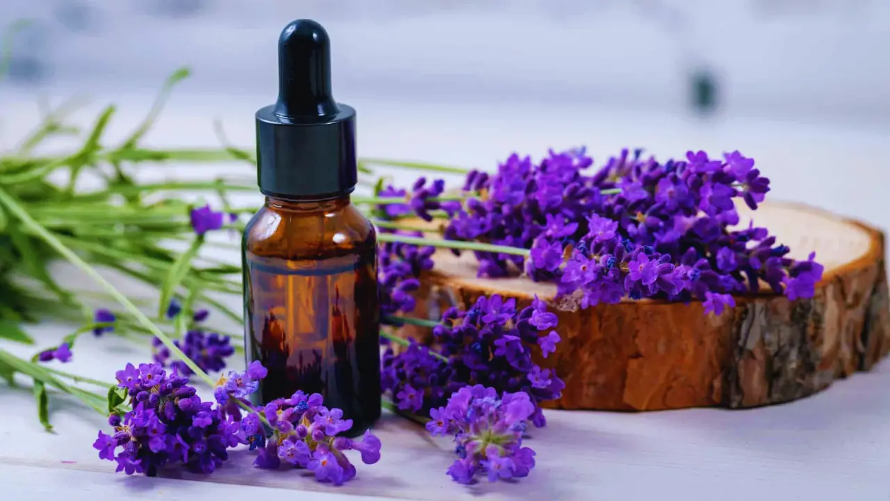 Lavender Essential Oil: Aromatherapy for Pain Relief
