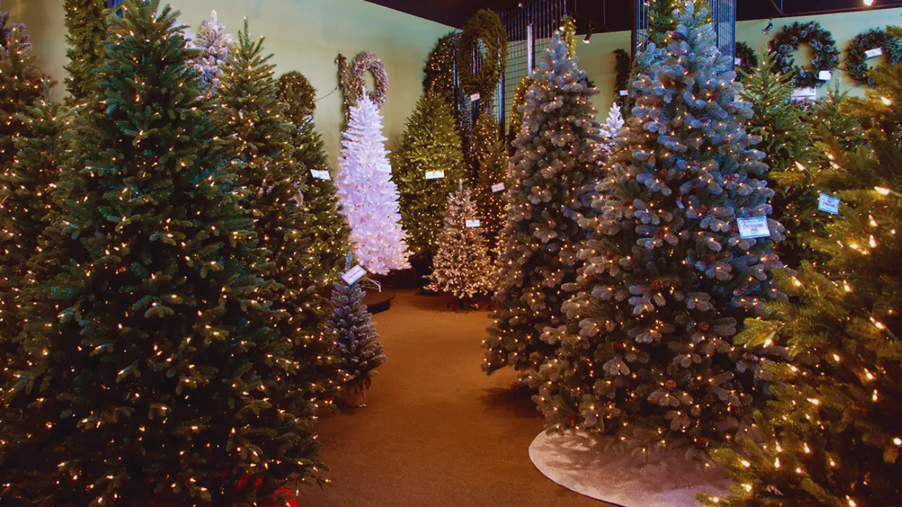 A Glimpse into the Christmas Tree Shop