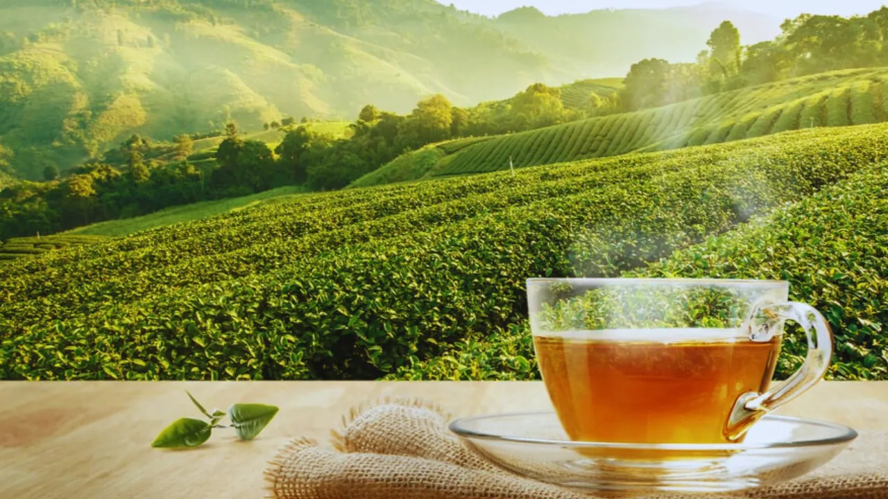The Antioxidant Power of Tea