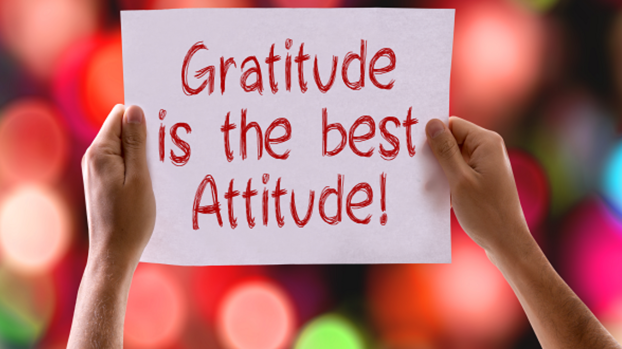 Christmas 2024, Jingle All the Way: A Joyful Journey 11 Reflection and Gratitude