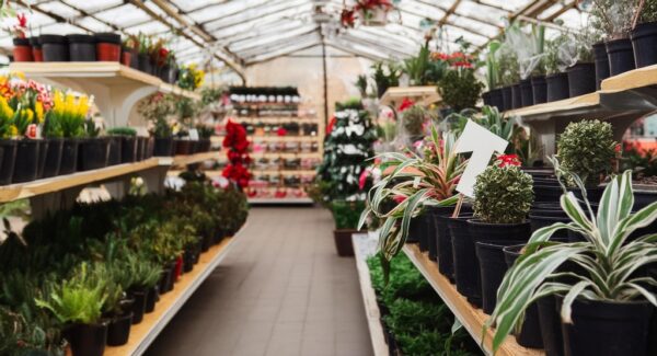 Selling Plants Online
