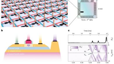 Quantum Computing Milestone: Integration of 1,024 Silicon Quantum Dots with On-Chip Electronics