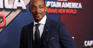 Captain America: Brave New World Box Office Success & Reviews